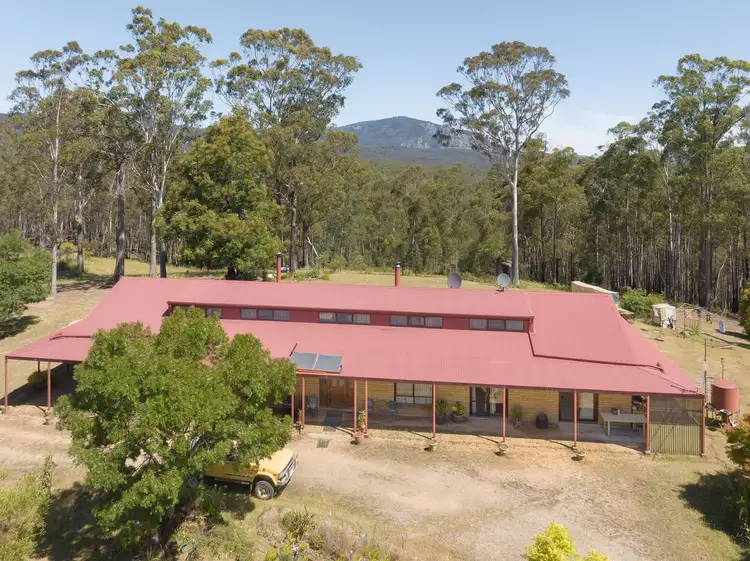 2331 Mount Darragh Rd, Wyndham NSW 2550
