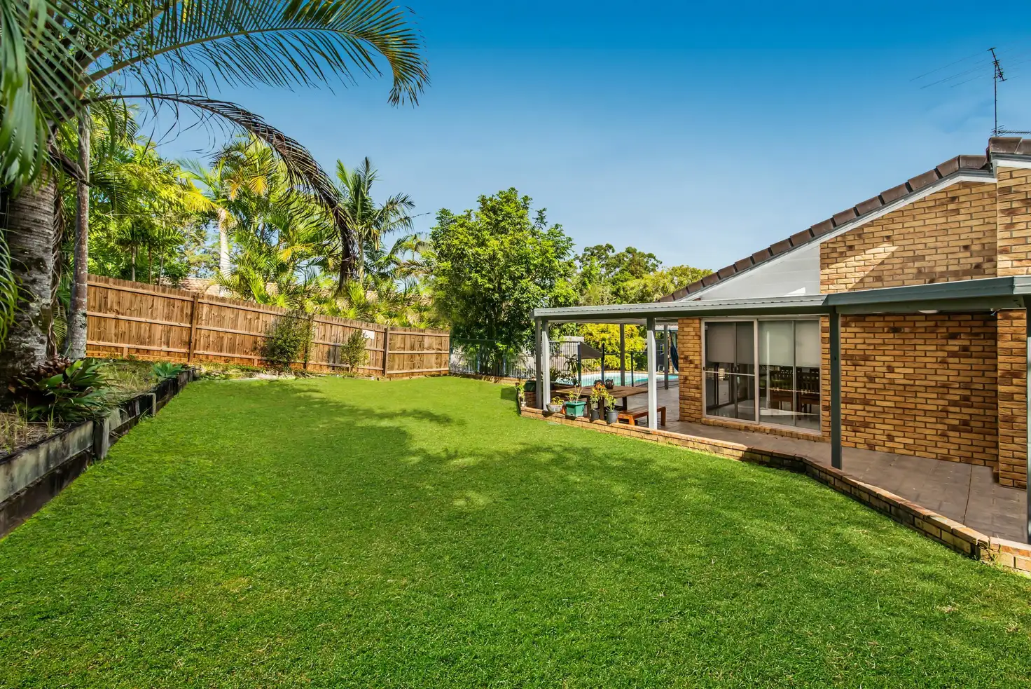 Main view of Homely house listing, 31 Jingellic Drive, Buderim QLD 4556