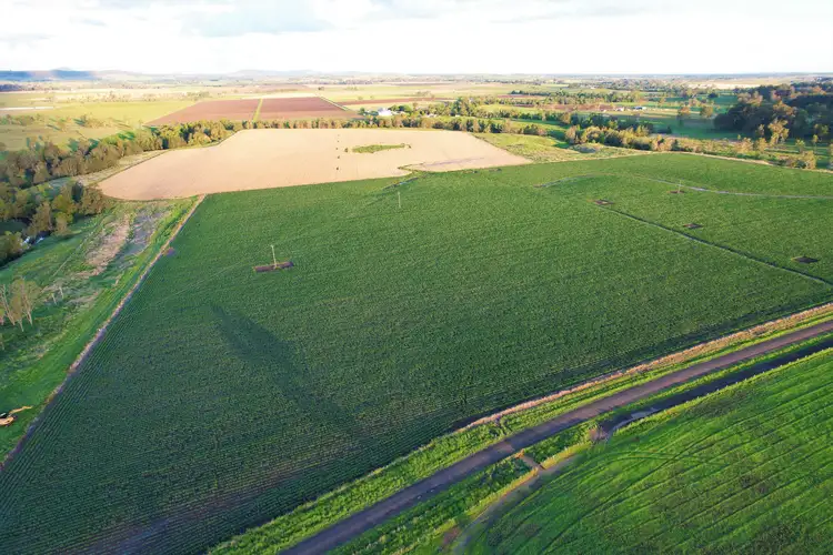 Second view of Homely rural property listing, 1521 Sextonville Road, Kyogle NSW 2474