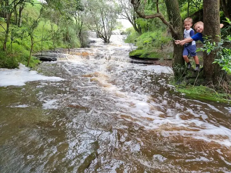 Seventh view of Homely rural property listing, 1521 Sextonville Road, Kyogle NSW 2474