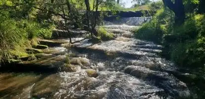 Fifth view of Homely rural property listing, 1521 Sextonville Road, Dobies Bight NSW 2470