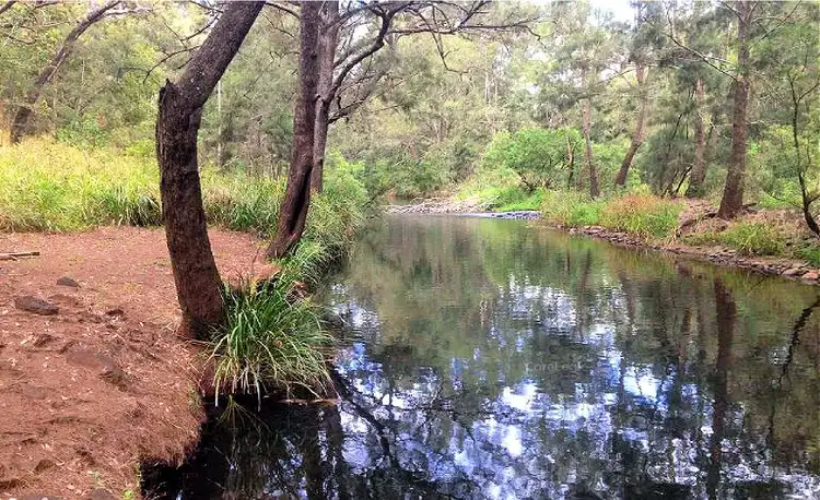 Main view of Homely land listing, 127 River Rd, Millstream QLD 4888