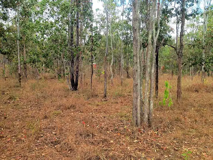 Third view of Homely land listing, 127 River Rd, Millstream QLD 4888
