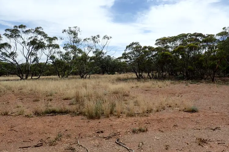 Section/143 Pine Creek Road, Parnaroo SA 5422