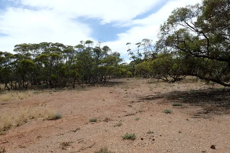 Second view of Homely rural property listing, Section/143 Pine Creek Road, Parnaroo SA 5422