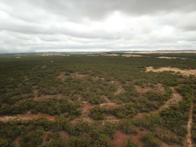 Sixth view of Homely rural property listing, Section/143 Pine Creek Road, Parnaroo SA 5422