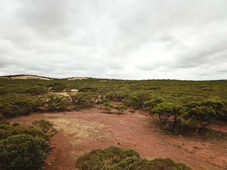 Seventh view of Homely rural property listing, Section/143 Pine Creek Road, Parnaroo SA 5422