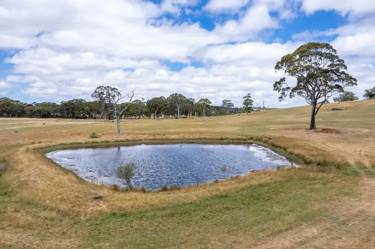398 Macclesfield Rd, Macclesfield SA 5153