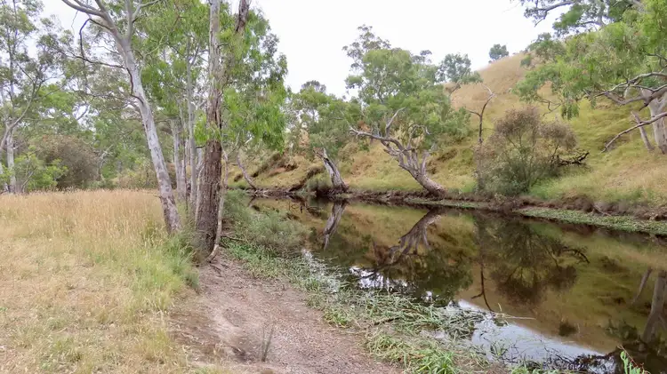 Main view of Homely rural property listing, 596 Mostyn Lane, Balmoral VIC 3407