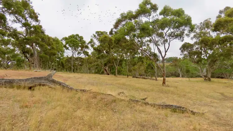 Fourth view of Homely rural property listing, 596 Mostyn Lane, Balmoral VIC 3407