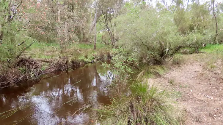 Sixth view of Homely rural property listing, 596 Mostyn Lane, Balmoral VIC 3407