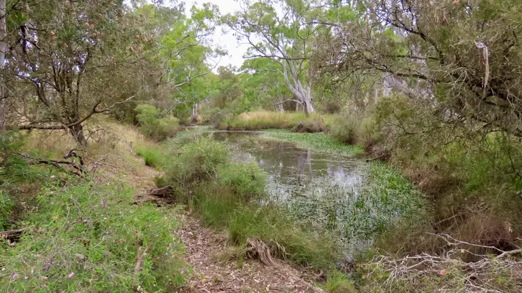 Seventh view of Homely rural property listing, 596 Mostyn Lane, Balmoral VIC 3407