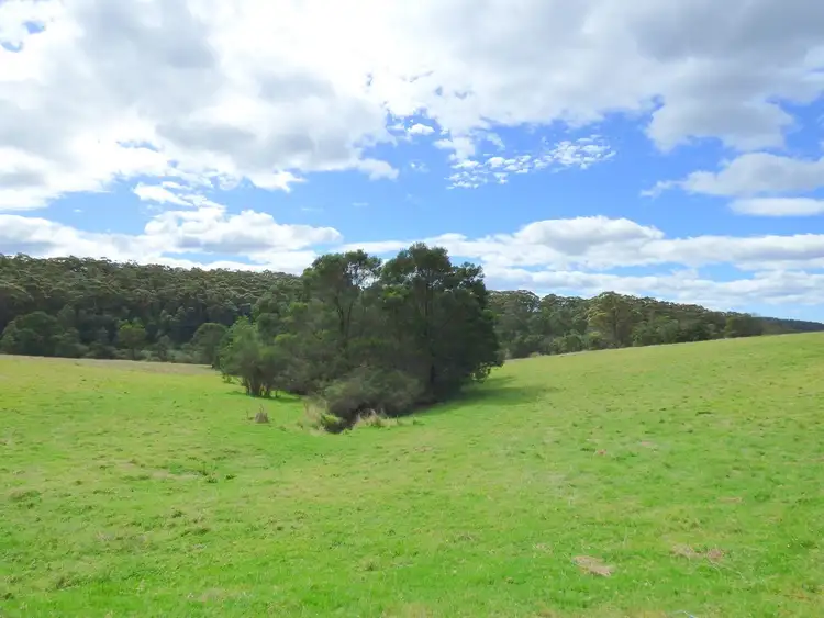 Fourth view of Homely rural property listing, (Lot 15)/66 McCausland Road, Lochiel NSW 2549