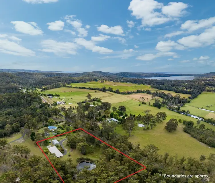 Second view of Homely rural property listing, 1559 Nethercote Rd, GRIEGS FLAT Via, Pambula NSW 2549