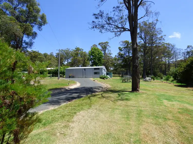 Third view of Homely rural property listing, 1559 Nethercote Rd, GRIEGS FLAT Via, Pambula NSW 2549