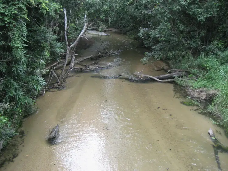 Fifth view of Homely land listing, Lot 18 Ellerbeck Road, Carruchan QLD 4816