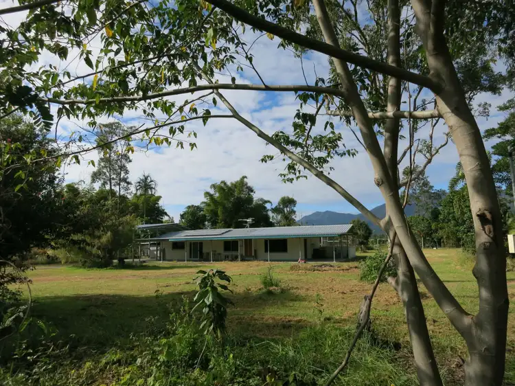 Main view of Homely rural property listing, 29 Sullivan Road, Carruchan QLD 4816