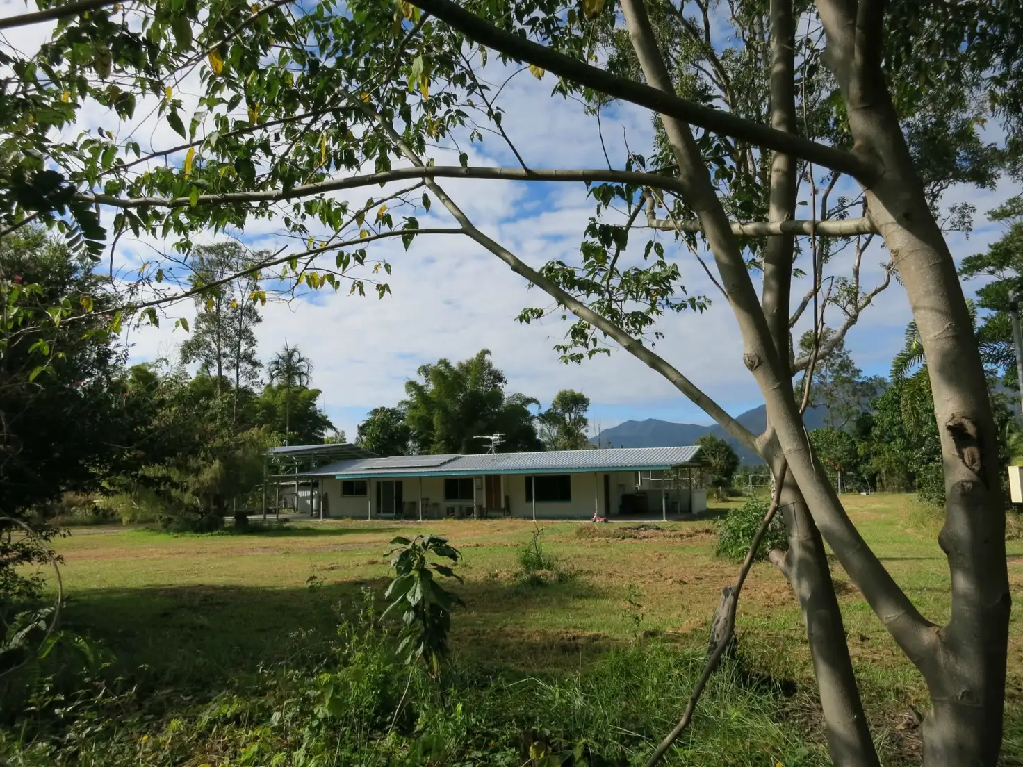 Main view of Homely rural property listing, 29 Sullivan Road, Carruchan QLD 4816
