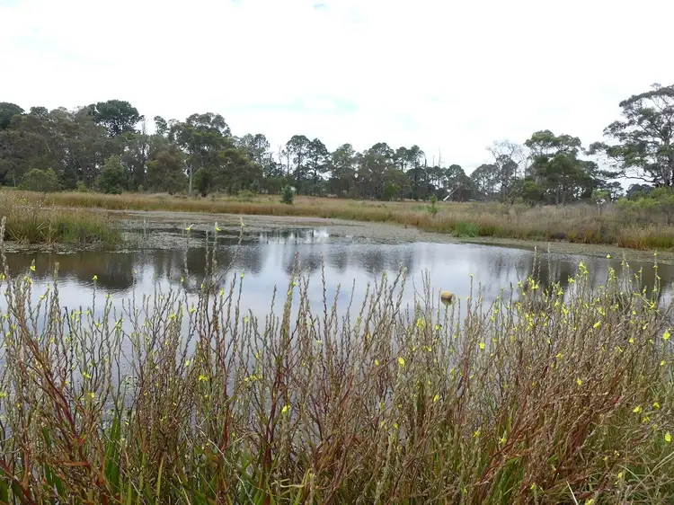 Main view of Homely rural property listing, 104 Parkers Lane, Thulimbah QLD 4376