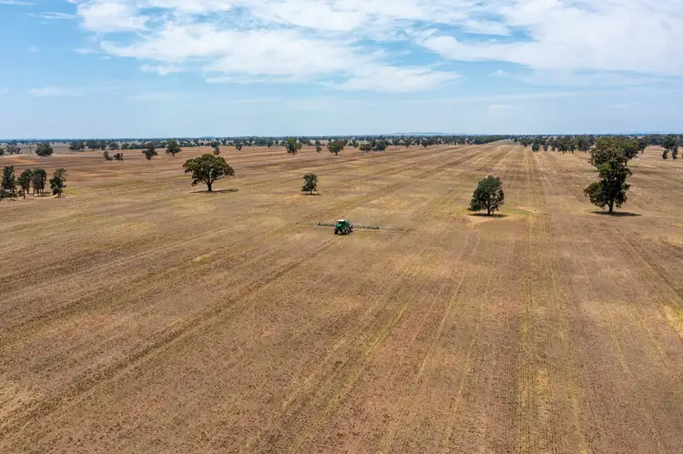 Fifth view of Homely rural property listing, 'Green Park Aggregation'/1714 Bynedale Road, Rand NSW 2642