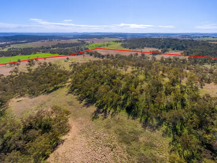 Main view of Homely rural property listing, 236 Womina Willowvale Rd, Womina QLD 4370