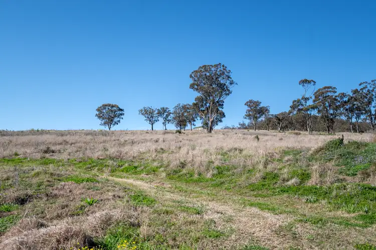 Seventh view of Homely rural property listing, 236 Womina Willowvale Rd, Womina QLD 4370