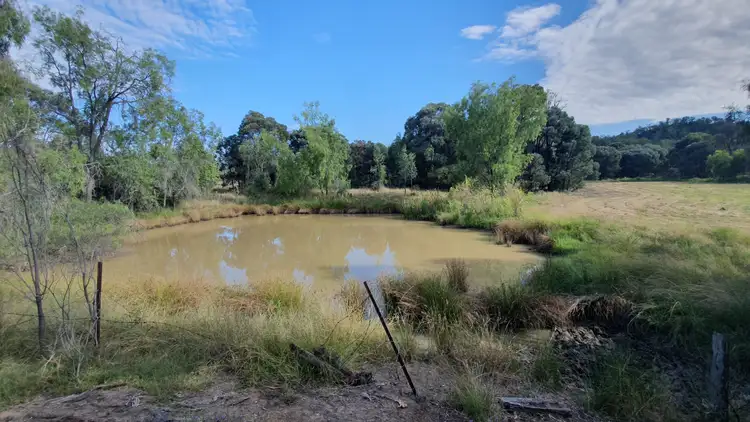 Fourth view of Homely rural property listing, 276 Commodore Peak Rd, Millmerran QLD 4357