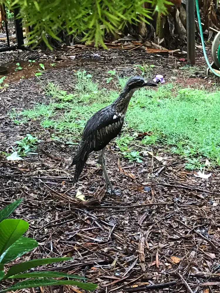 Third view of Homely land listing, 37 Hacking Ridge, Russell Island QLD 4184