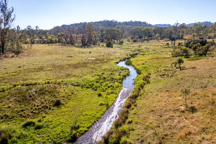 Fifth view of Homely rural property listing, 1301 Coxs Creek Rd, Coxs Creek NSW 2849
