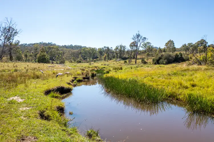 Sixth view of Homely rural property listing, 1301 Coxs Creek Rd, Coxs Creek NSW 2849