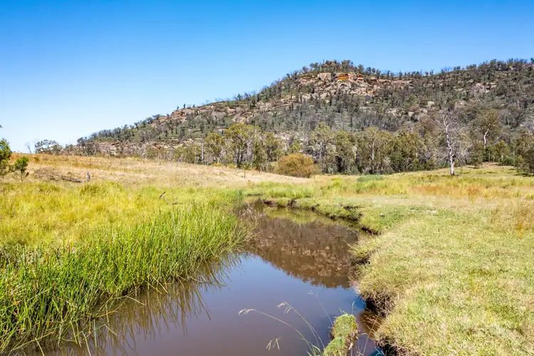 Seventh view of Homely rural property listing, 1301 Coxs Creek Rd, Coxs Creek NSW 2849