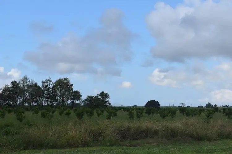 Sixth view of Homely land listing, 33 Beachmere Street, Burnett Heads QLD 4670