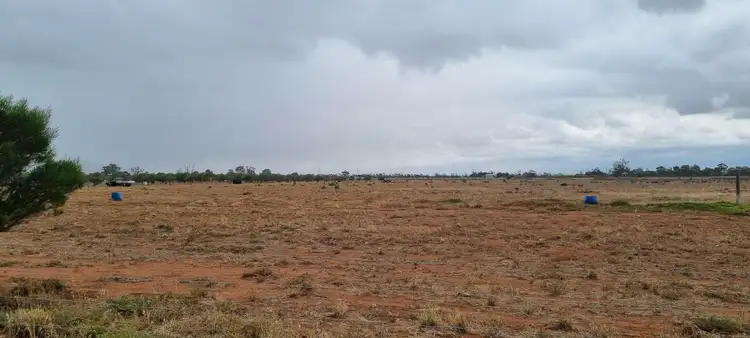 Fifth view of Homely land listing, Lot 238 Olive Grove Road, Napperby SA 5540