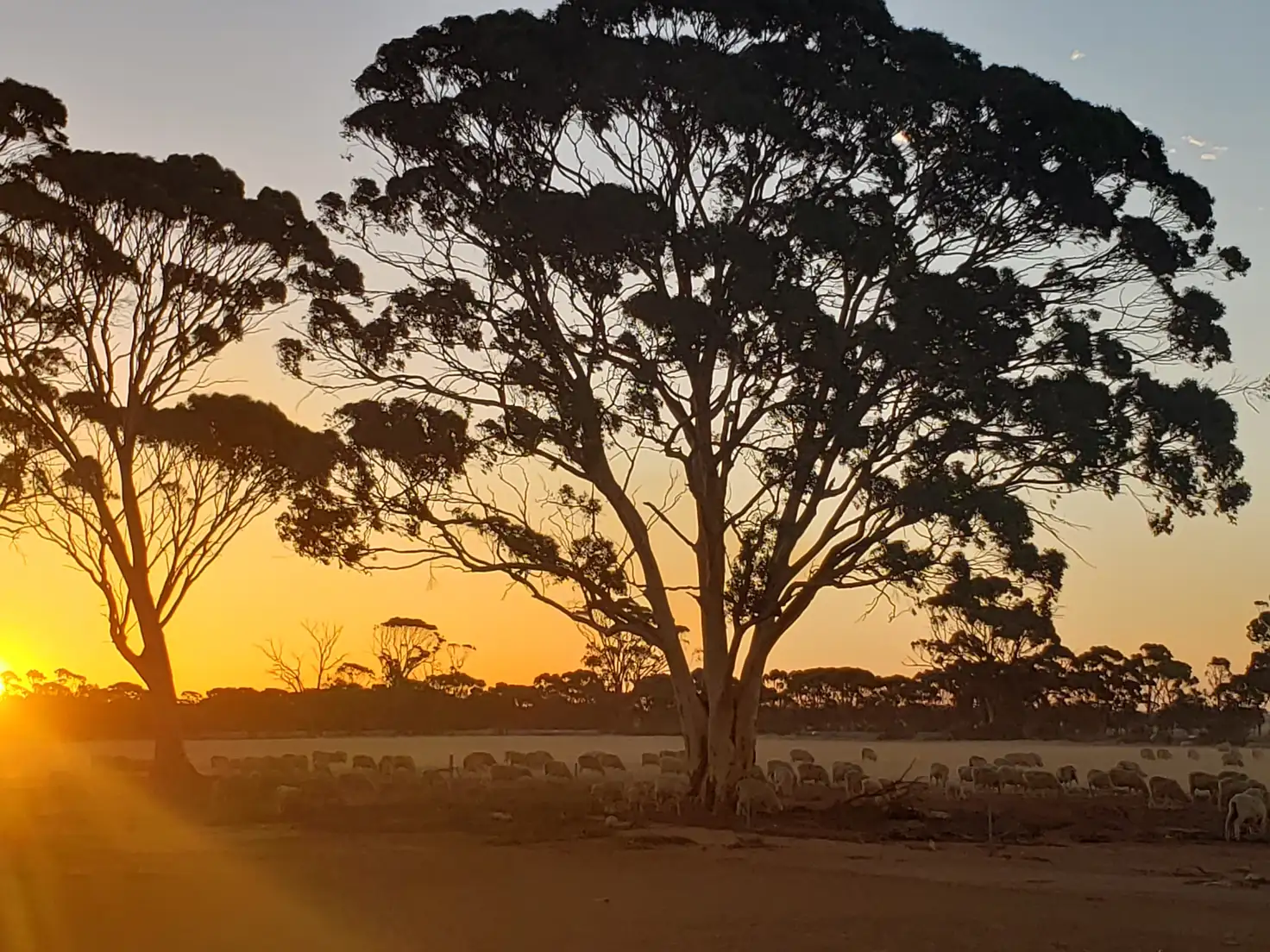 Main view of Homely house listing, 173 Rutter Road, Nangeenan WA 6414