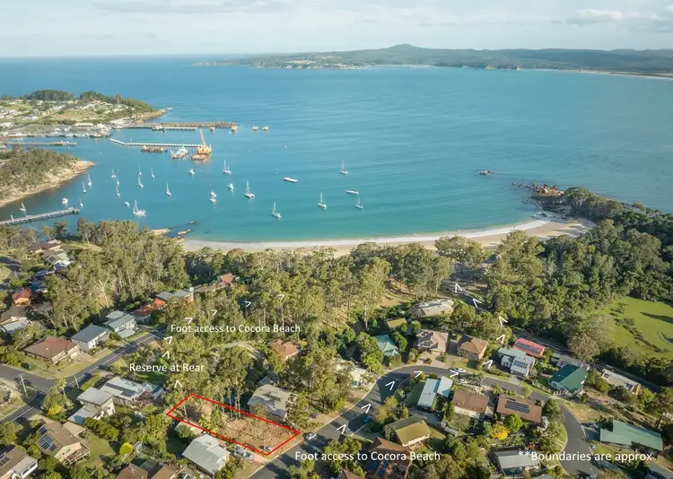 12 Andrea St, Eden NSW 2551