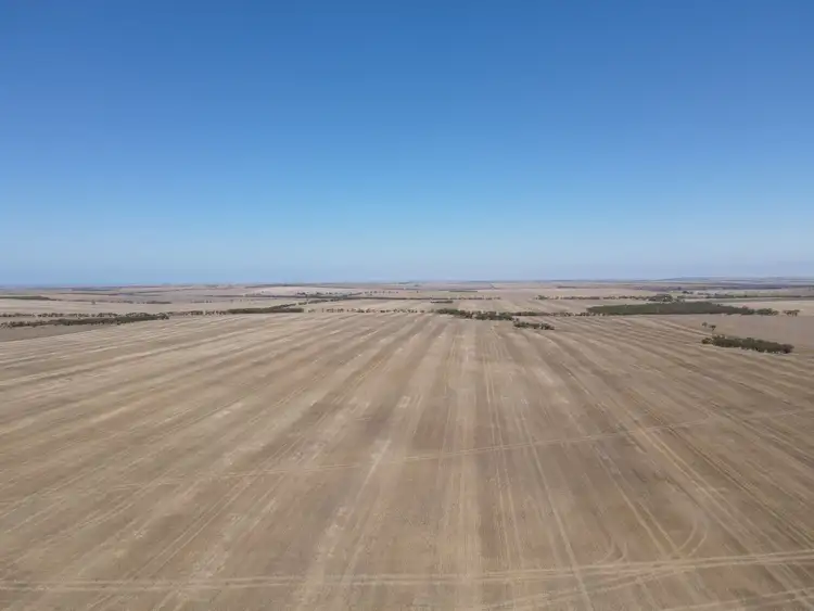 Seventh view of Homely rural property listing, Allotment 1 & 377 Honner Road, Arthurton SA 5572