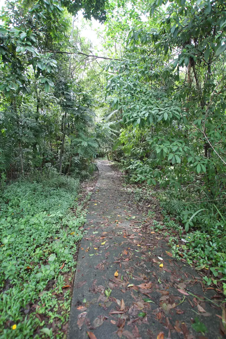 Fifth view of Homely land listing, 26 Clipper Court, South Mission Beach QLD 4852