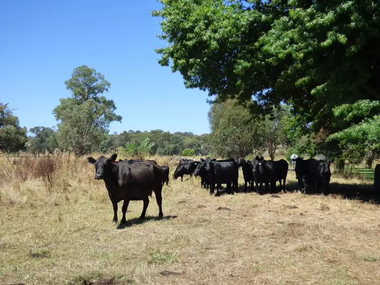 Third view of Homely rural property listing, Lot 2 Whorouly South Rd, Whorouly South VIC 3735