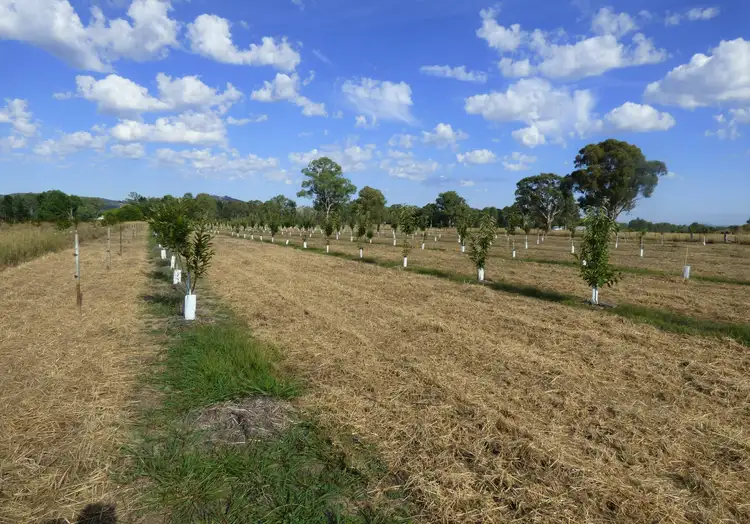 Fourth view of Homely rural property listing, Lot 2 Whorouly South Rd, Whorouly South VIC 3735
