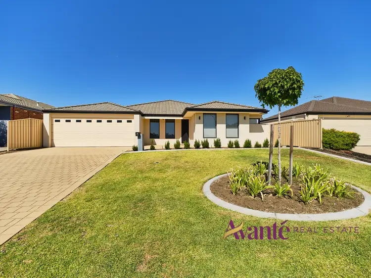 Main view of Homely house listing, 16 Camballin Loop, Bertram WA 6167