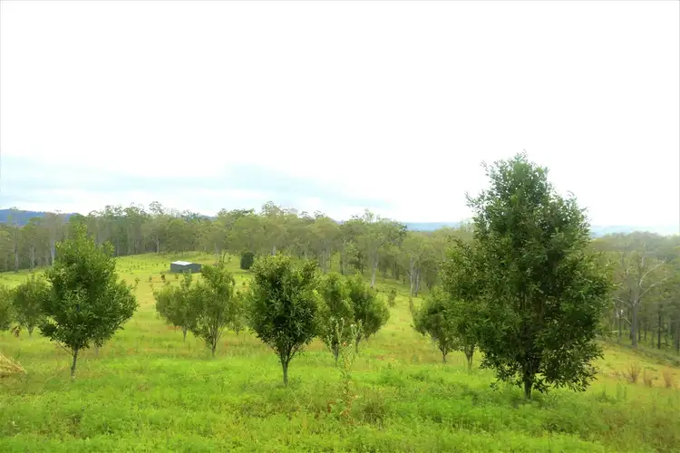 160 Moras Road, Lismore NSW 2480