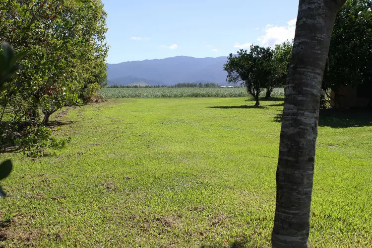 Second view of Homely land listing, 303 Silkwood-Japoon Road, Silkwood QLD 4856