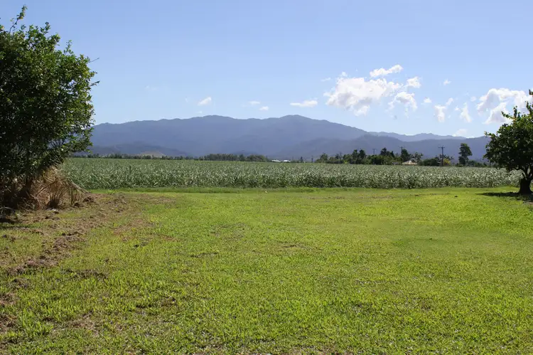 Third view of Homely land listing, 303 Silkwood-Japoon Road, Silkwood QLD 4856