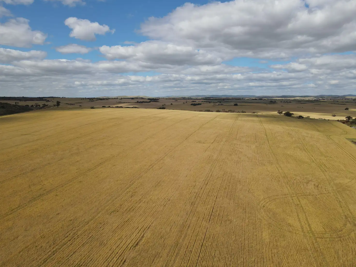 Main view of Homely rural property listing, Allotment 11 Head Road, Crystal Brook SA 5523