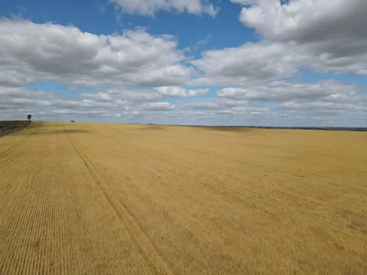 Third view of Homely rural property listing, Allotment 11 Head Road, Crystal Brook SA 5523