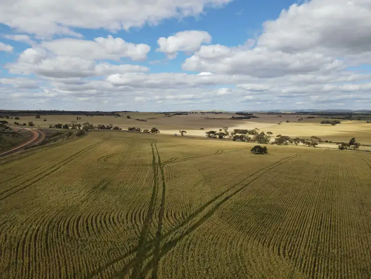 Sixth view of Homely rural property listing, Allotment 11 Head Road, Crystal Brook SA 5523