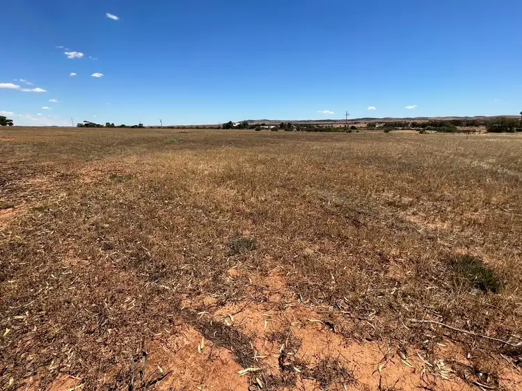 LOT A, 85, 86 & 92 Main Street, Carrieton SA 5432