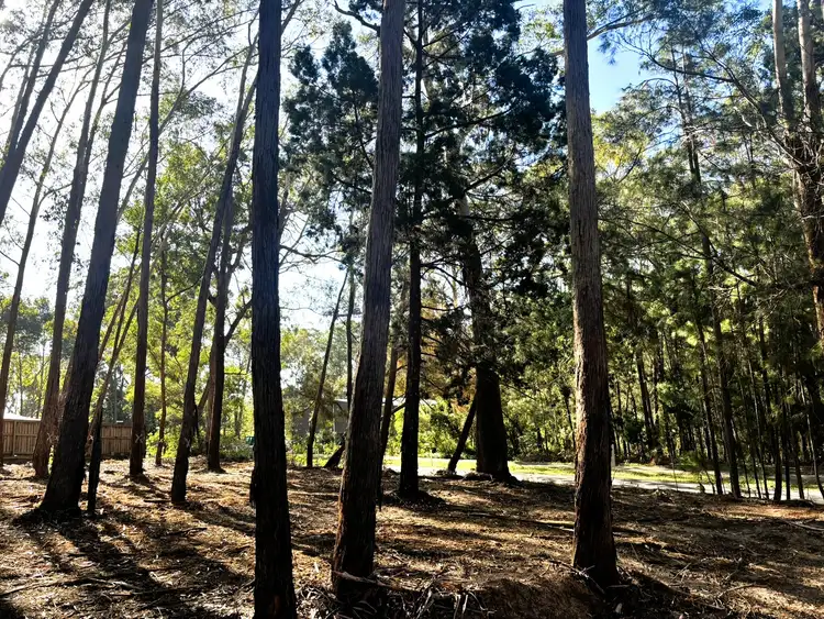 Third view of Homely land listing, 1 Jiwali St, Russell Island QLD 4184