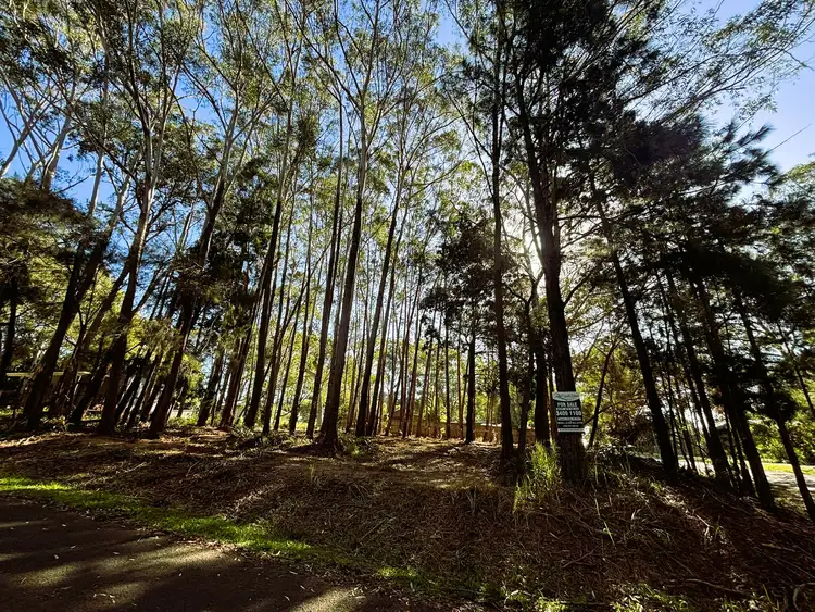 Fifth view of Homely land listing, 1 Jiwali St, Russell Island QLD 4184