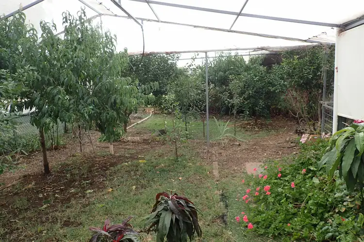 Second view of Homely house listing, 8 Collins Street, Jamestown SA 5491